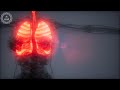 Get More Oxygen to Your Lung | Heighten Your Respiratory System | Flush Out Toxins from Lung- 432Hz