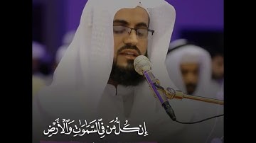 قرآن الكريم بصوت رعد محمد الكردي اجمل حالات واتس اب دينية سورة مريم فيديو قصيره 🤍🌿