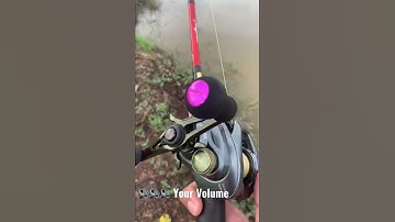 Thumbnail of Shimano Slx Dc vs Shimano Curado Dc sound test🔊🔊🔊