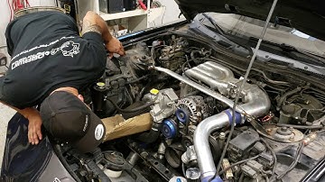 derwin performance dyno tune black