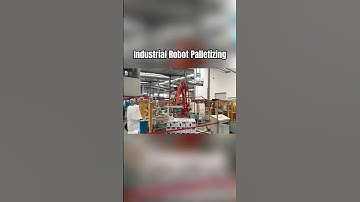Industrial Robot QJR30-1 Water Pump Palletizing Demo#palletizingrobot #evsrobot #industrialrobots