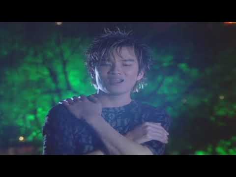 Kiếp lang thang Lâm Chấn Huy