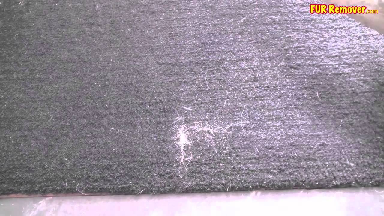 Fur Remover The best tool ever! YouTube