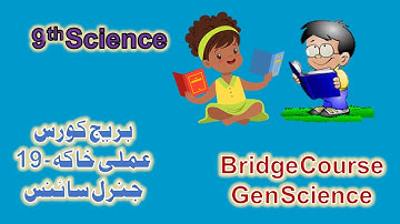 Bridge Course | 9th Science | Urdu Medium | Activity No.#19 | 2022-2023