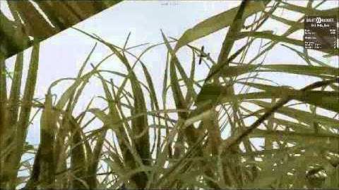 Dayz Balota buddies plane fly over (Chernarus)