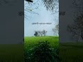 #ਗੁਰਬਾਣੀ #ਕੁਦਰਤ #gurbani #peace #sikh #nature