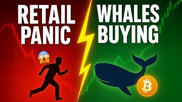 Whales JUST Started Accumulating Bitcoin Again… Is the Bottom In?