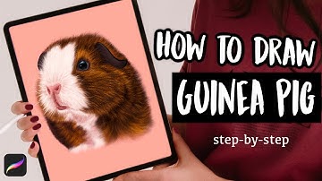 Realistic Guinea Pig Drawing ︱How To Paint Fur︱Procreate Tutorial