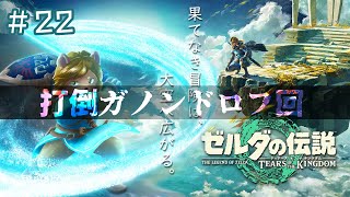＃22【ゼルダの伝説 ティアーズオブザキングダム】ガノン討伐回＿ゼルダを守る！ついでにハイラルの平和も【Vtuber】