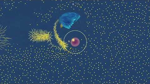 Lifelike: Chapter One. Level 12. Walkthrough. [Apple Arcade]