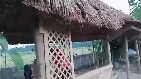 Majlis in the Making