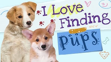 I Love Finding Pups! Collector