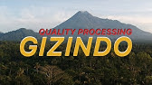 Lowongan Kerja Gizindo Group Youtube