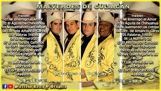 LOS MALVERDES DE CULIACÁN - Mi Enemigo El Amor (DISCO DE ESTUDIO)