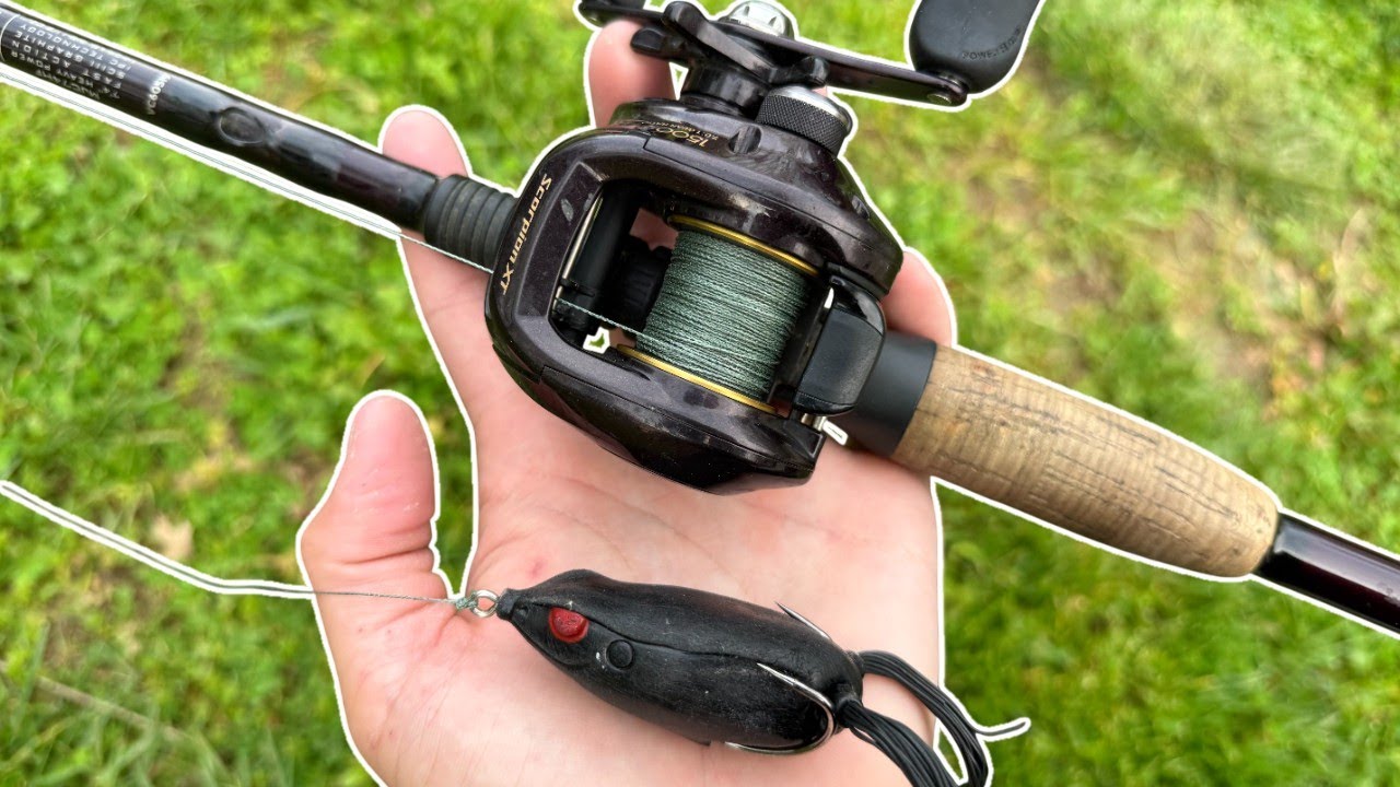 Fishing Topwater for Big Spring Bass!