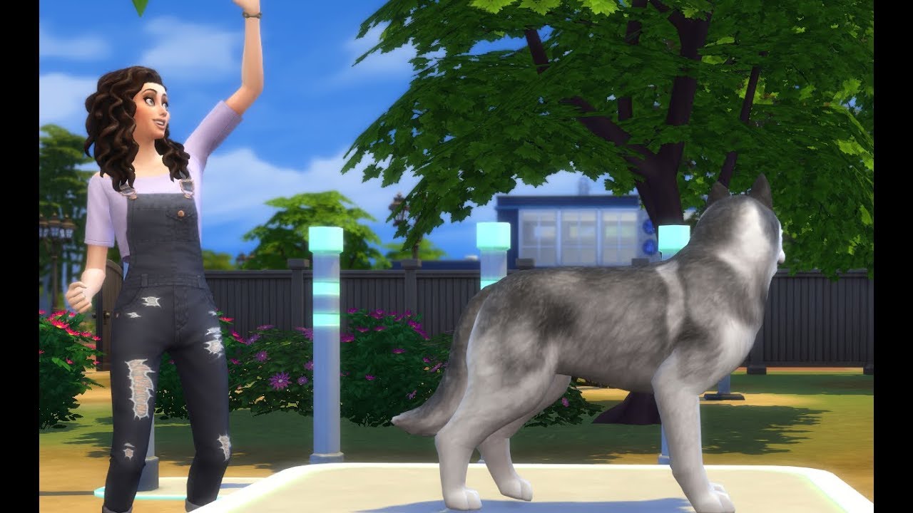 Training Im Welpenpark 02 Die Sims 4 Hunde Und Katzen Lets Play The Sims 4