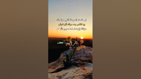 الحمد لله #القرآن_الكريم #تلاوة_خاشعة #اناشيد #راحة_نفسية #الحمدلله #قرآن #اكسبلور #التوحيد #السنة