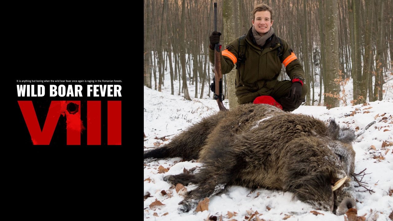 Wild Boar Fever 8 Exclusively On Motv Com Youtube