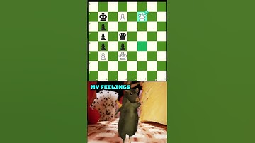 cảm xúc của tôi sau nước đi này. My feelings after this move. #chess #covualogic