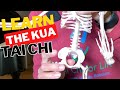 Tai Chi; about the Kua