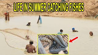 Life in summer catching fishes