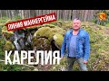 Карелия. Линия Маннергейма. Путешествия с Николаем Смирновым. #shorts