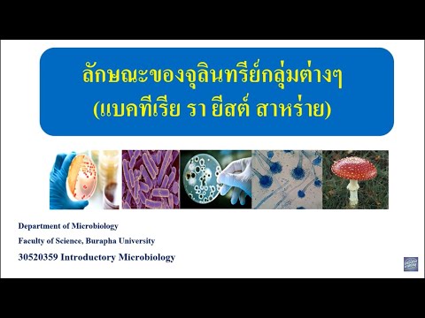 วีดีโอ: ประโยชน์ของการเป็นจุลชีววิทยาคืออะไร?
