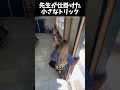 先生が仕掛けた小さなトリック