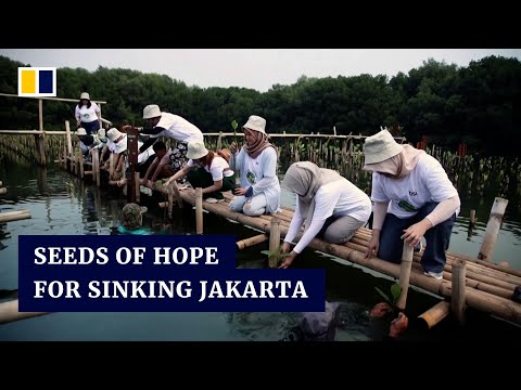Indonesia enlists tourists to keep capital Jakarta afloat
