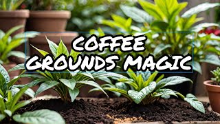 Maximize Your Garden with Coffee Grounds