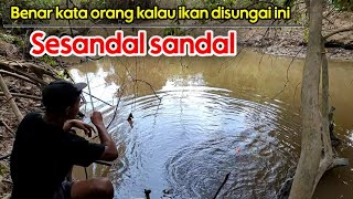 Download Lagu MANCING DI HUTAN YANG MASI ALAMI MEMANG BIKIN KETAGIHAN TARIKANNYA GANAS BANGET MP3 Download Lagu MANCING DI HUTAN YANG MASI ALAMI MEMANG BIKIN KETAGIHAN TARIKANNYA GANAS BANGET MP3