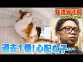 【保護猫活動】目が見えない保護猫らぶが初日にサンシャイン池崎さんと…（嗚呼!!みんなの動物園）