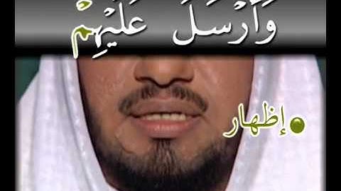 سورة الفيل - تجويد وترتيل