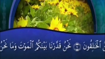 تلاوه رائعه لسورة الواقعه للقارئ اليأس حجري