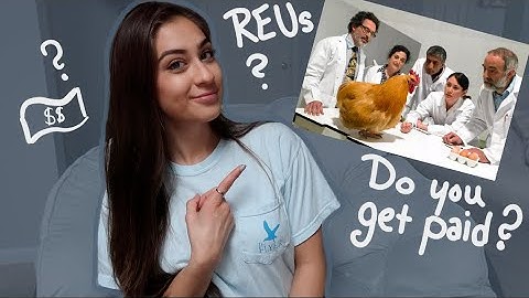 Should You Do an REU?? | STEM Research Experience