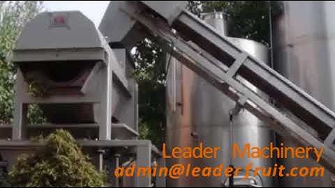 grape destemmer/grape destemming machine