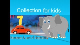Parts of the Elephant body and Numbers Counting | RhymsoTVKids