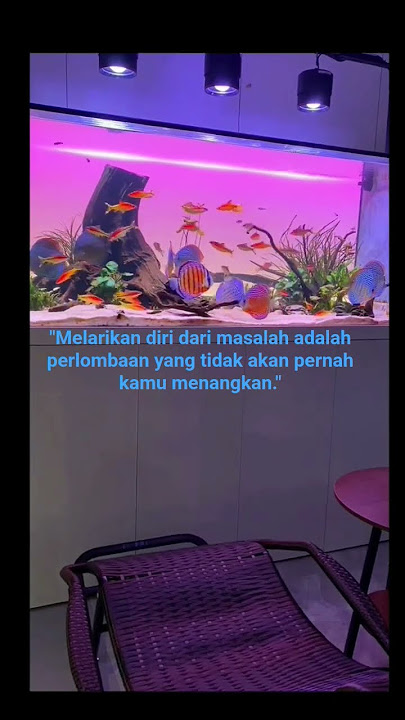 muhasabah diri #babaummatv #katakatabijakalibinabuthalib #trendingshorts #aquarium