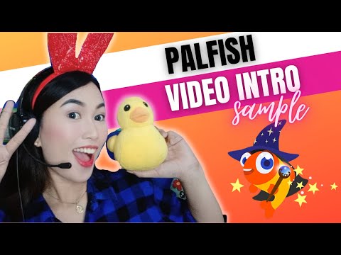 PALFISH INTRO VIDEO
