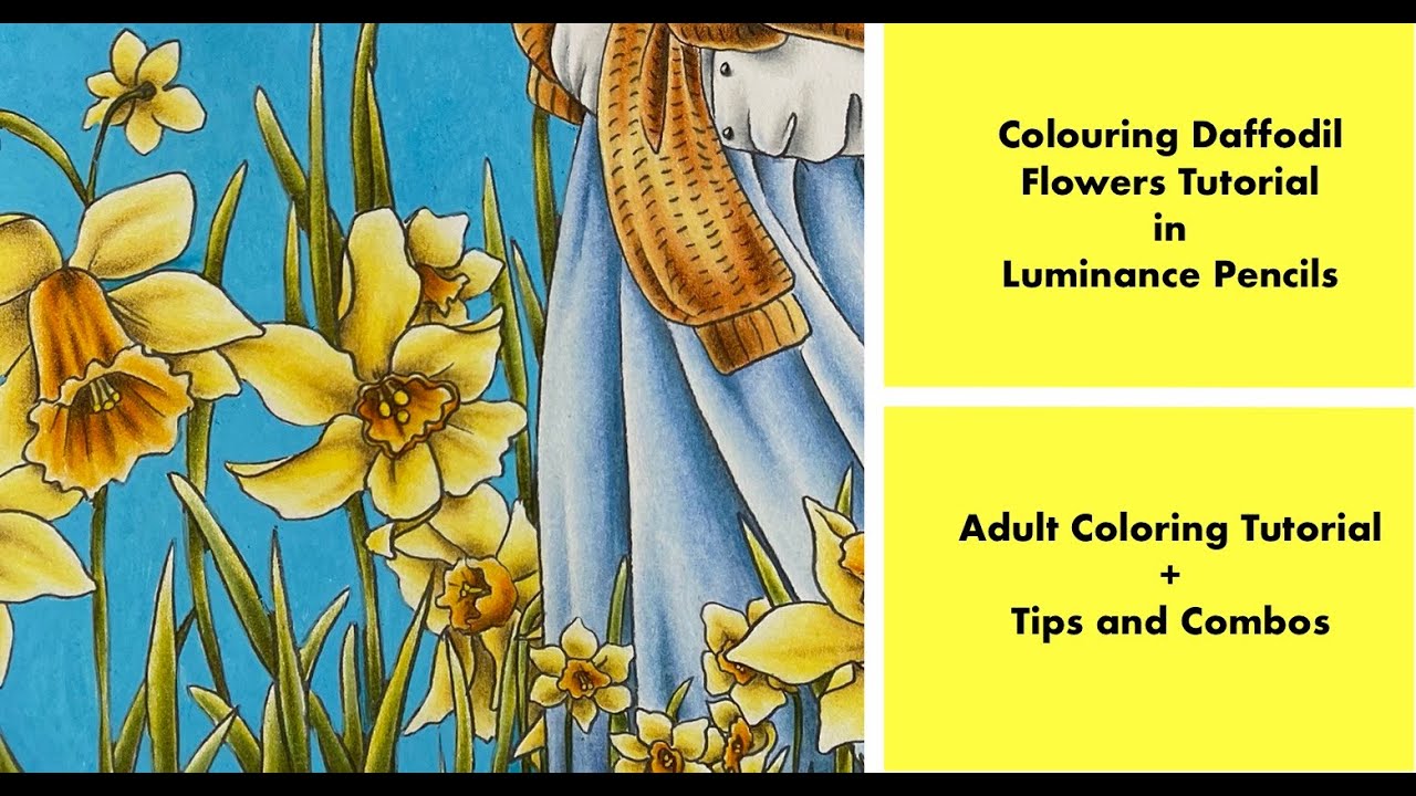 How to Colour Daffodil Flowers - Adult Colouring Tutorial