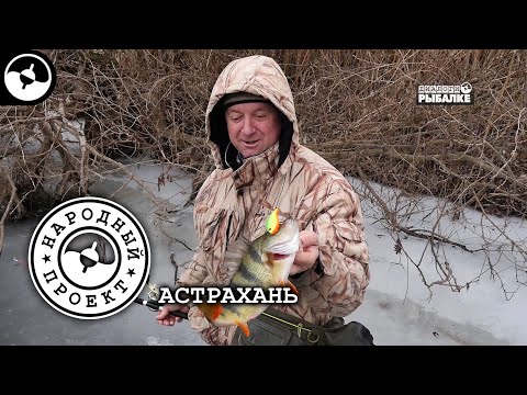 Зимняя рыбалка. Окунь на балансир. Астрахань | Народный проект ©