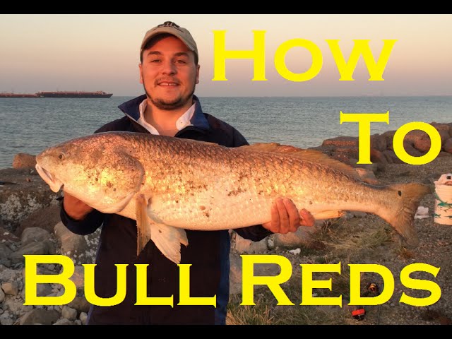 bull red rigs  Inshore fishing, Fishing tips, Fishing rigs