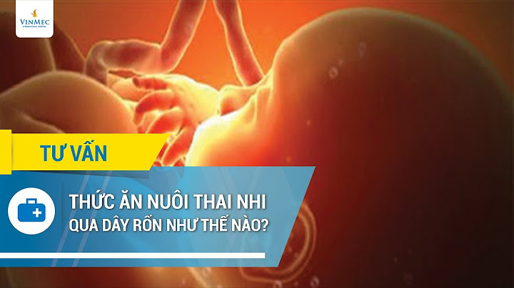 Thai nhi hấp thụ chất dinh dưỡng như thế nào