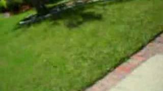 CLIP0034.AVI