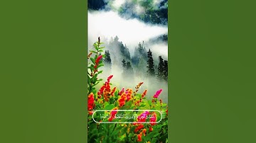 سنفرغ لكم أيها الثقلان _سورة الرحمن #محمد_ديبيروف #muhammad_dibirov #quran #deen #قرآن #nature