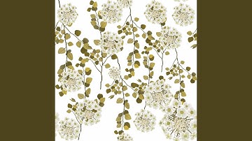 Delightful Backdrops for Rejuvenating Keynotes