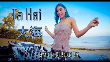 Da Hai  - 大海 (Electro Manyao) By Dj Brian Bie #dj抖音版2024 #remixmanyao #remixmandarinkaraoke