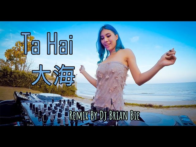 Da Hai  - 大海 (Electro Manyao) By Dj Brian Bie #dj抖音版2024 #remixmanyao #remixmandarinkaraoke class=