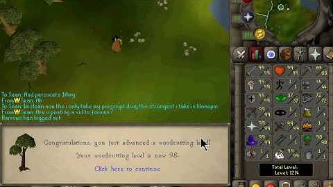 OS-Insanity Runescape Old School Private Server [BEST]