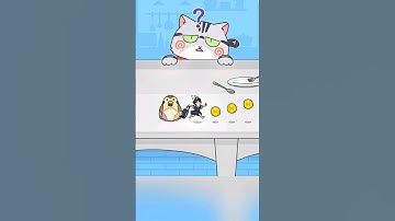 Hide and Seek Cat Escape Gameplay #24